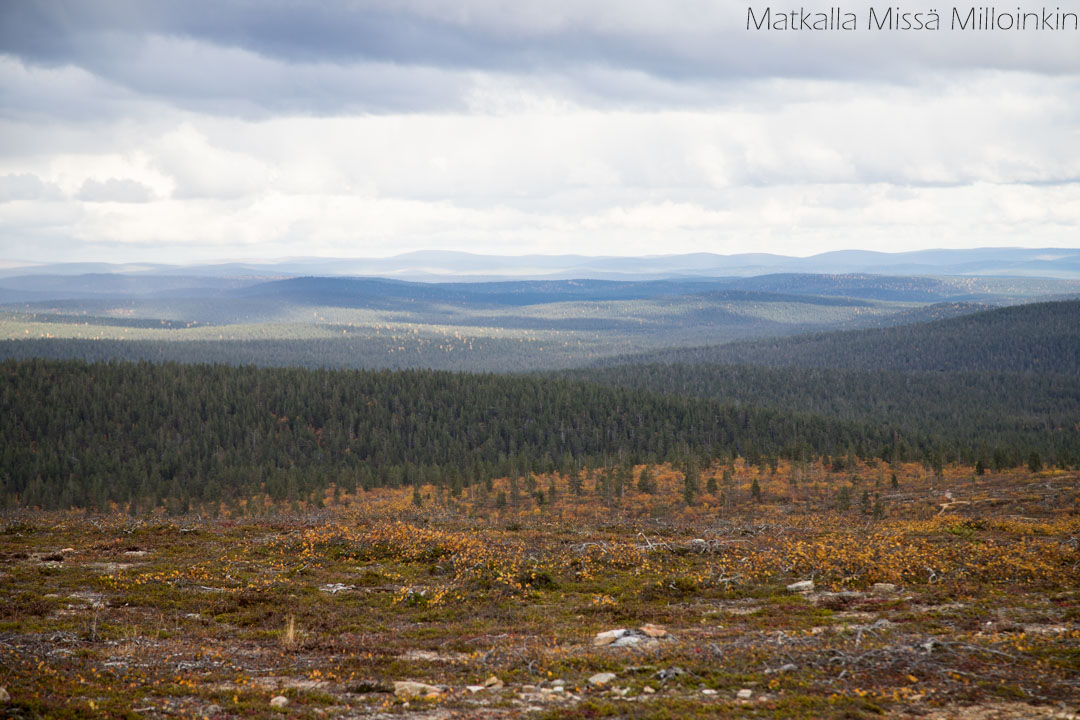 maisemia Iisakkipään huipulta Urho Kekkosen kansallispuistossa
