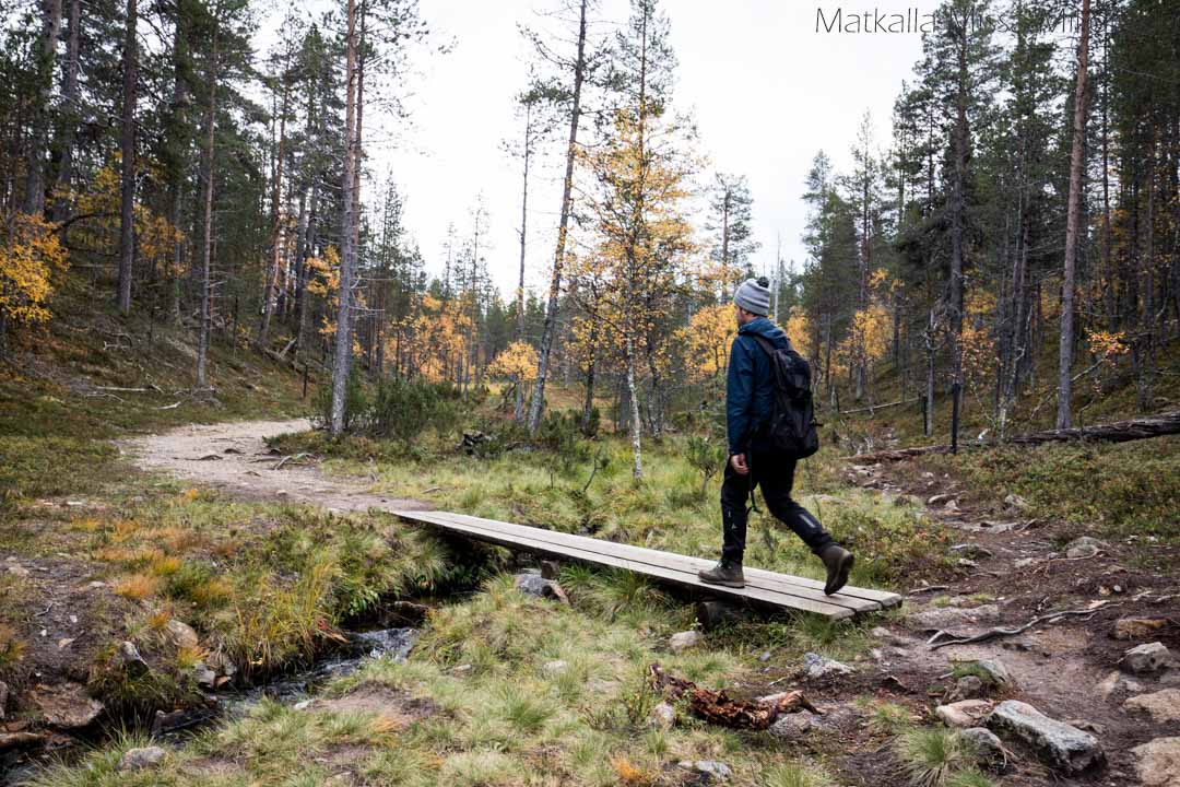 Iisakkipään polku Urho Kekkosen kansallispuisto