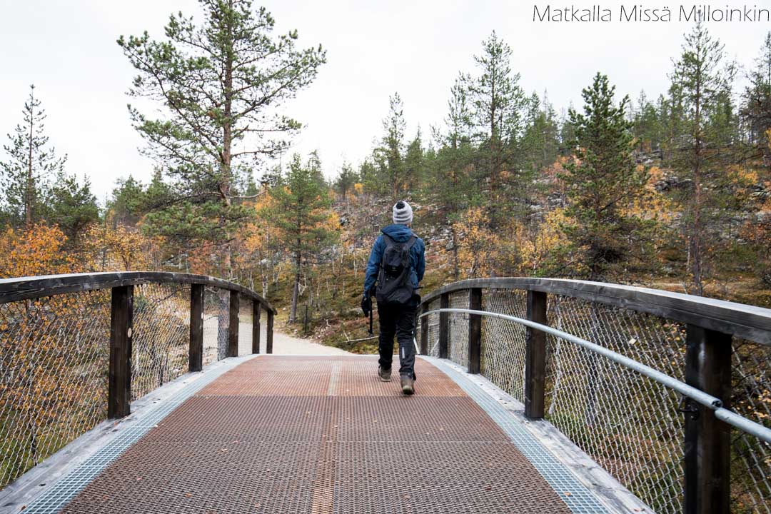 Iisakkipään polku Urho Kekkosen kansallispuisto