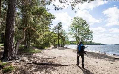 Päijänteen kansallispuisto – suomalaista järvimaisemaa parhaimmillaan