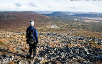 Pallas-Yllästunturin kansallispuisto – Taivaskeron kierros