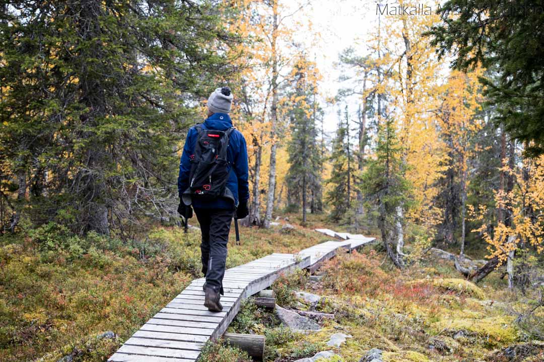 Pahakurun kierros Sallan kans