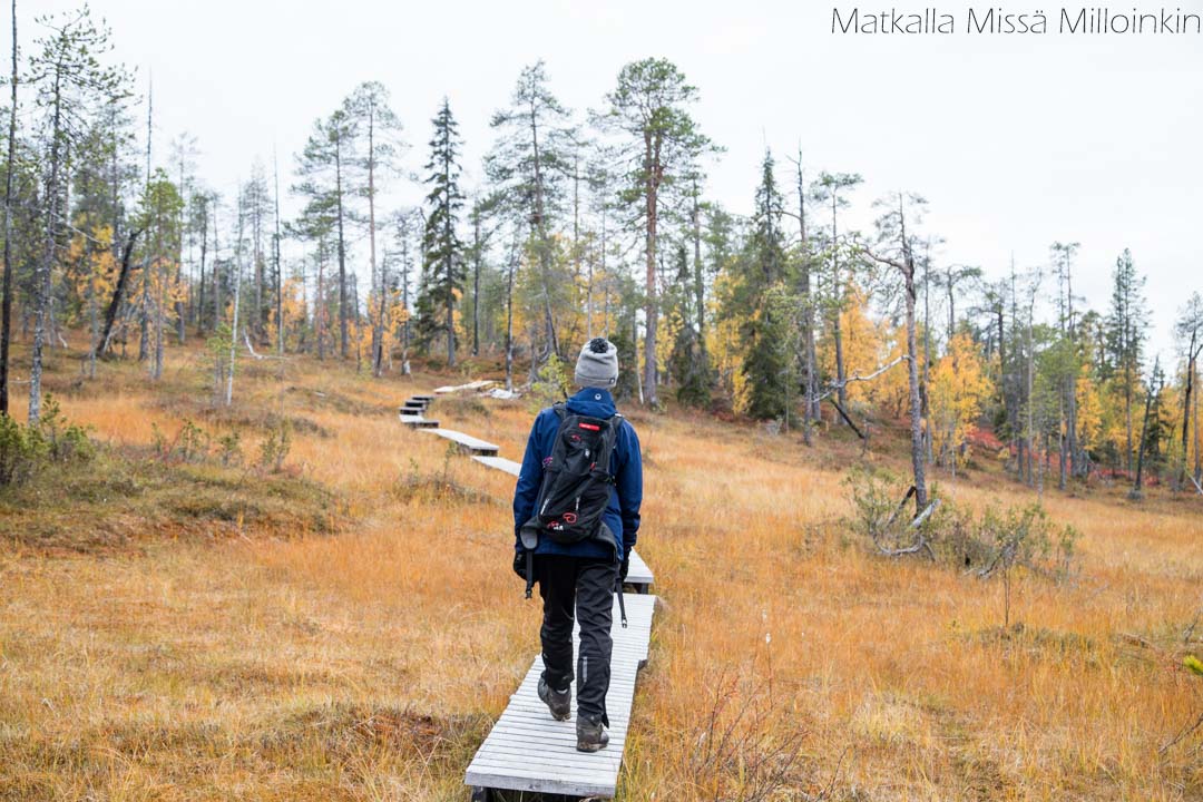 Pahakurun kierros Sallan kansallispuisto