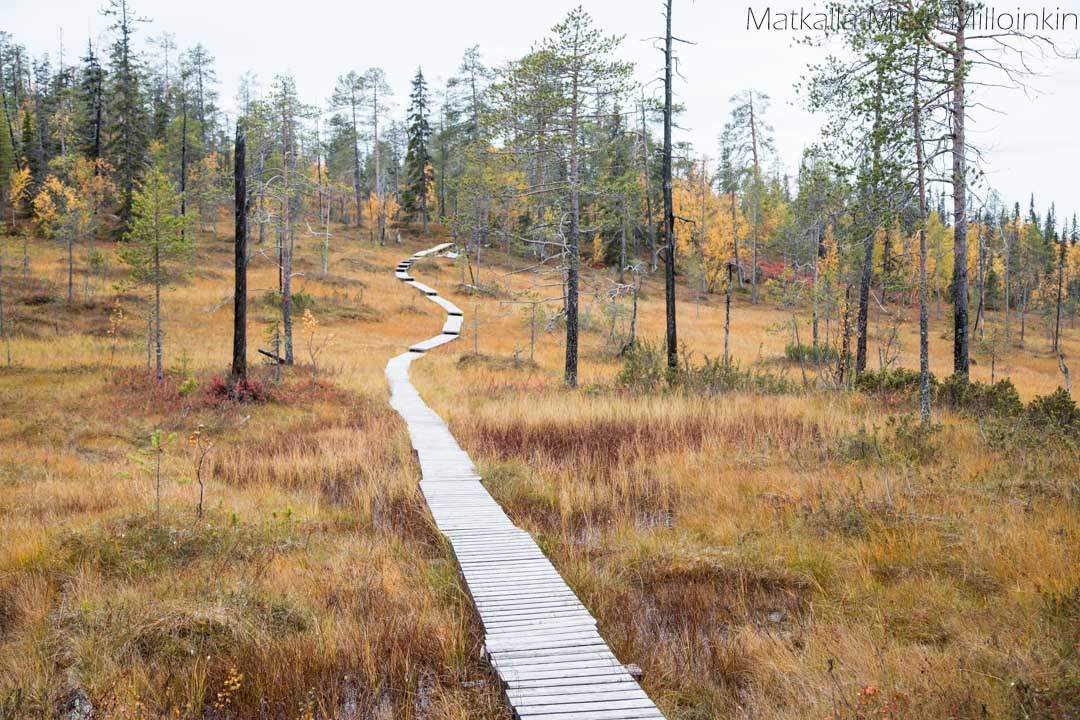 Pahakurun kierros, Sallan kansallispuisto