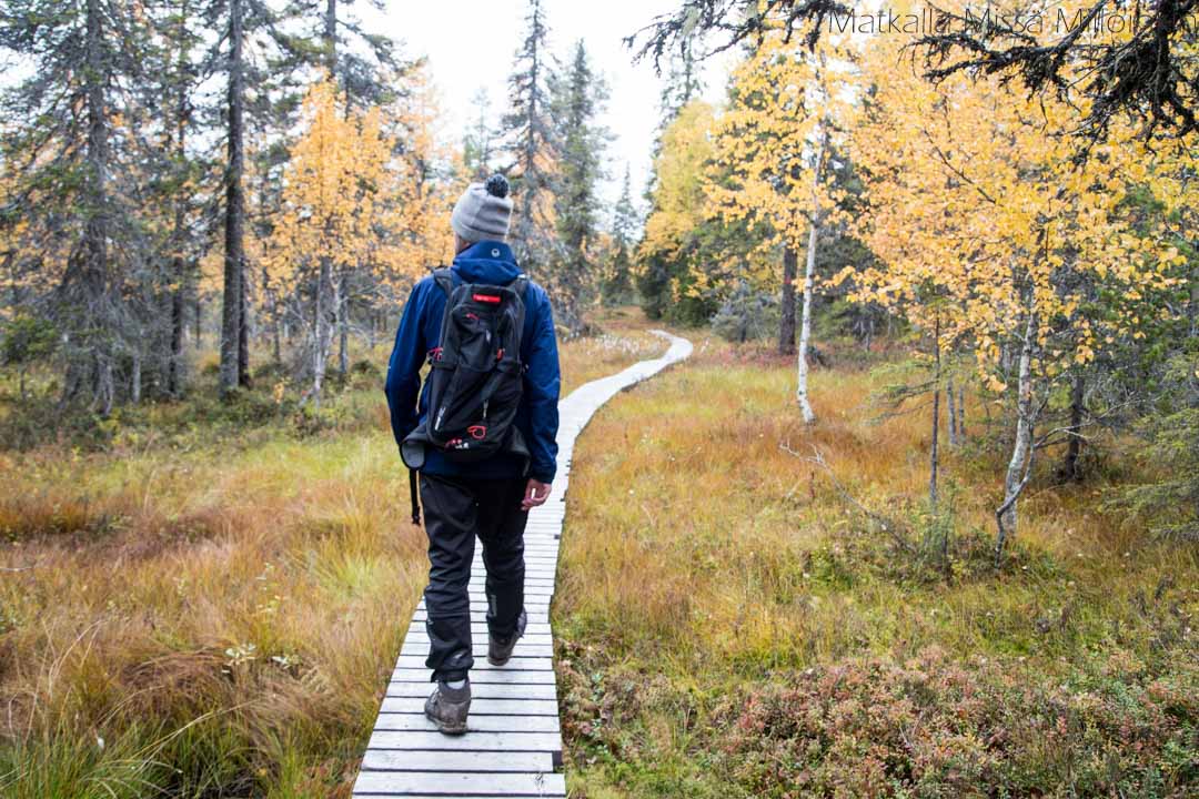 ruskaa Pahakurun kierroksella, Salla