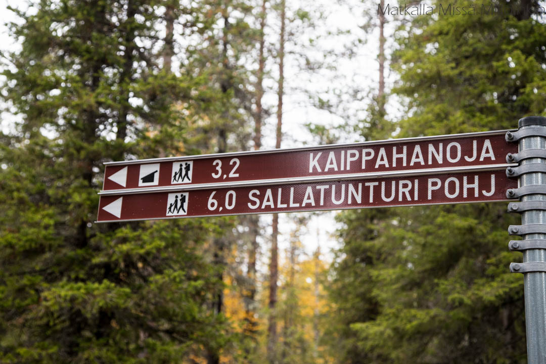opaskyltti Sallan kansallispuisto