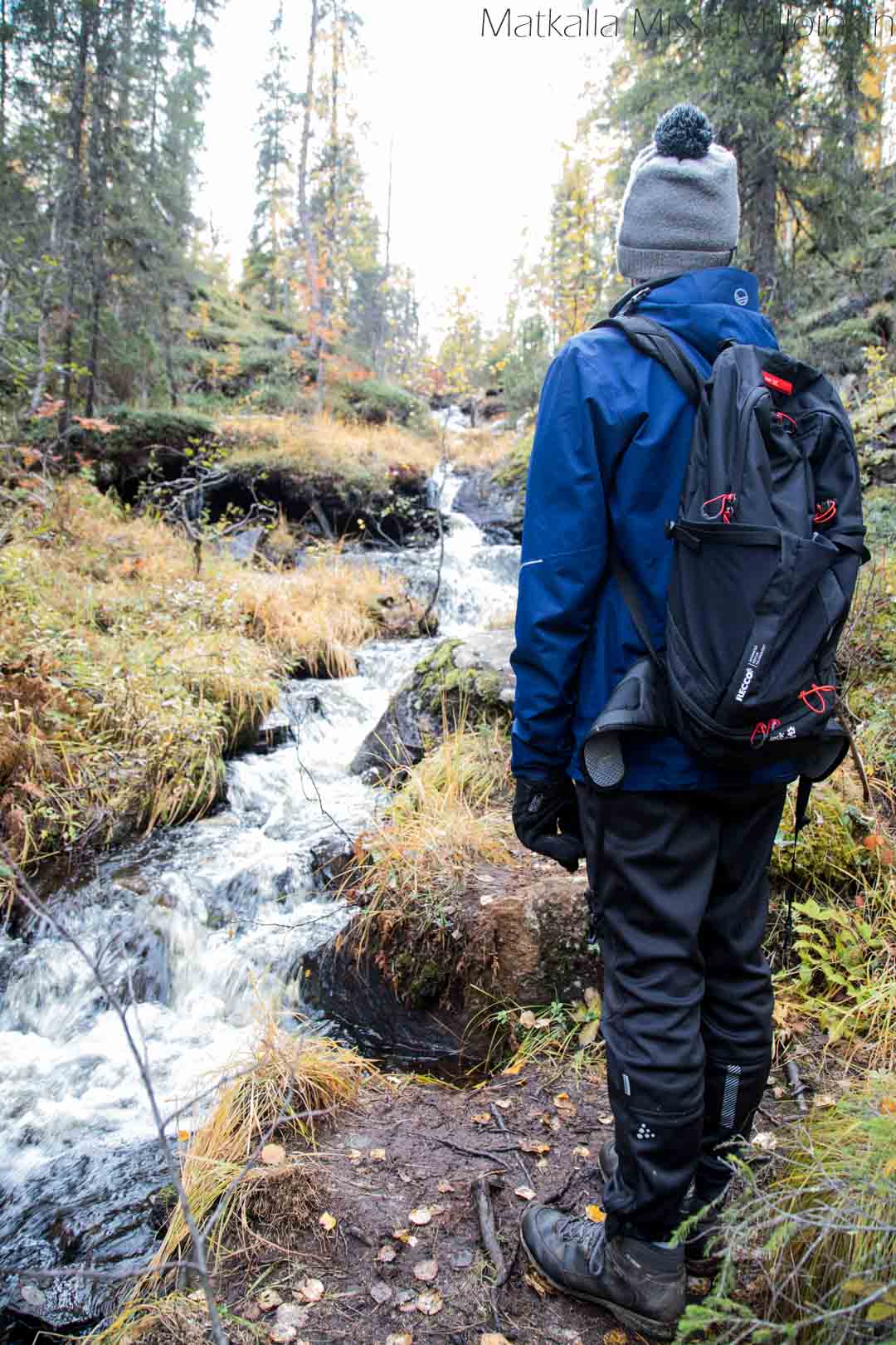 Pahakuru Sallan kansallispuisto