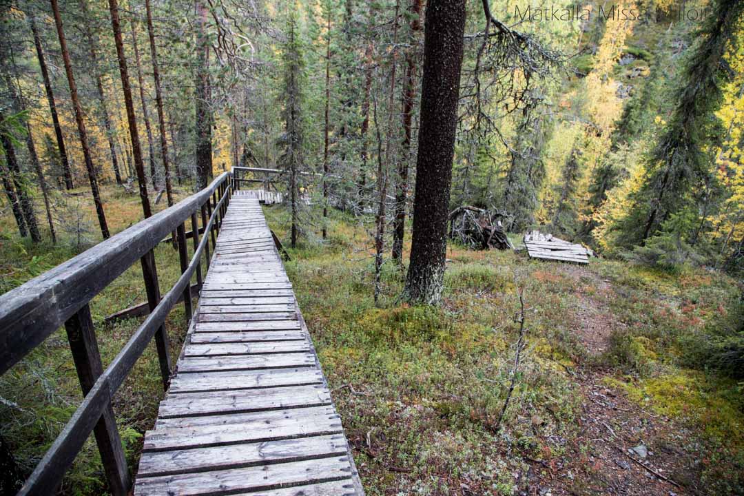 portaat Pahakurun pohjalle Sallan kansallispuistossa