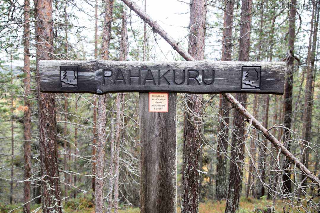 Pahakuru Sallan kansallispuisto