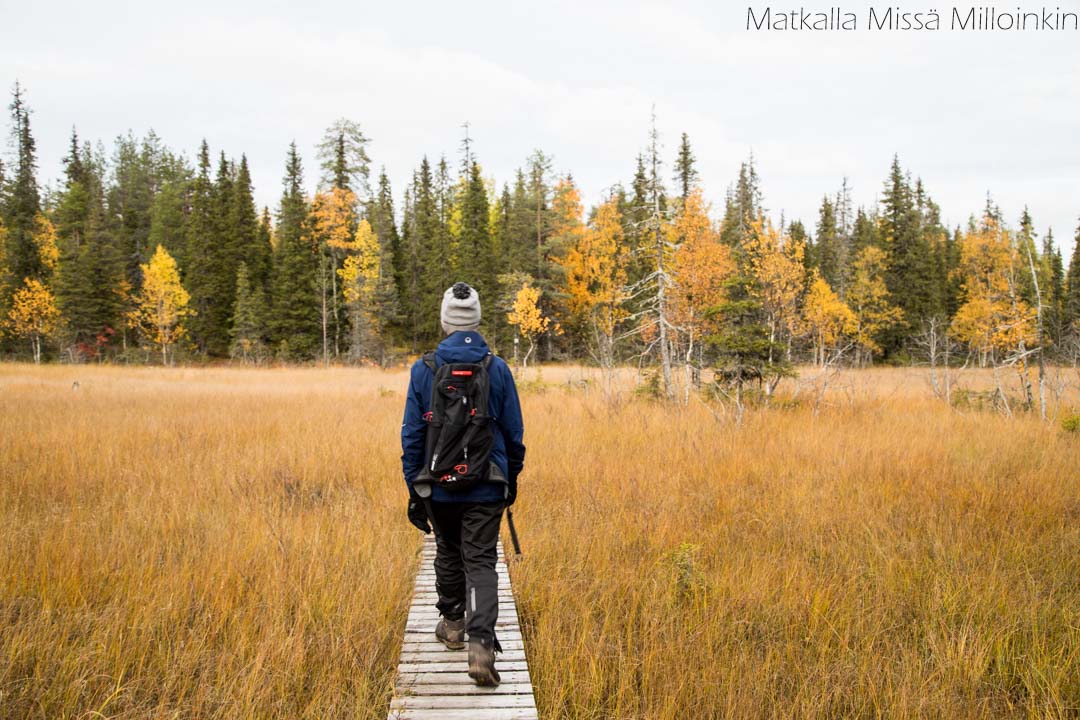 ruskaa Sallan kansallispuistossa