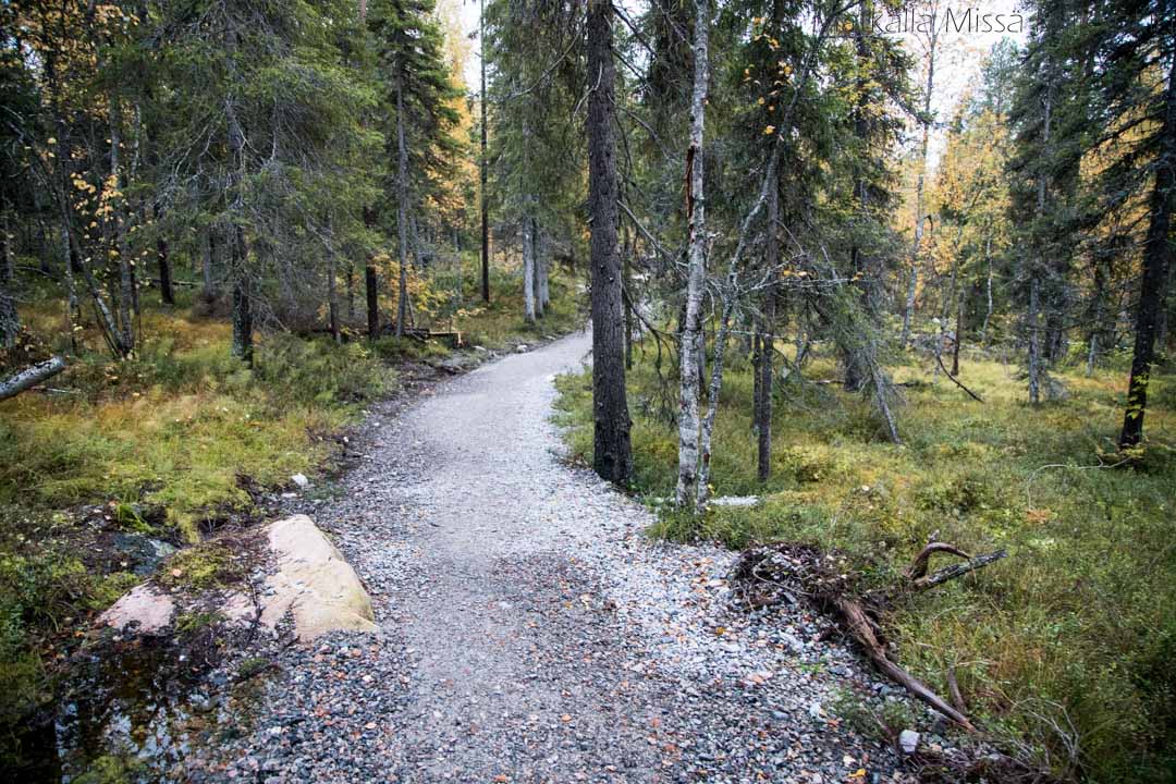 Pahakurun kierros Sallan kansallispuisto