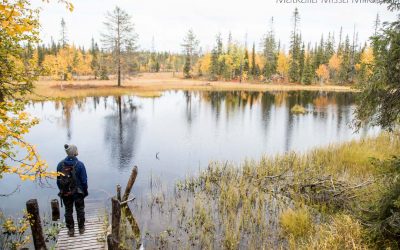 Sallan kansallispuisto – Pahakurun kierros