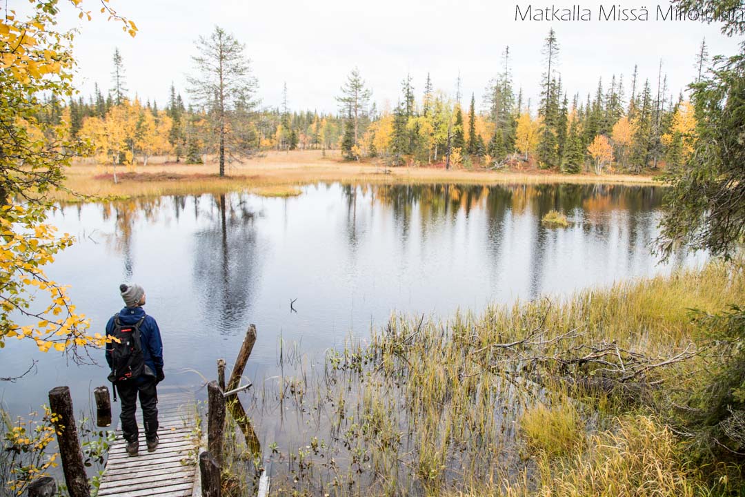 maisemia Pahakurun kierroksella Sallan kansallispuistossa
