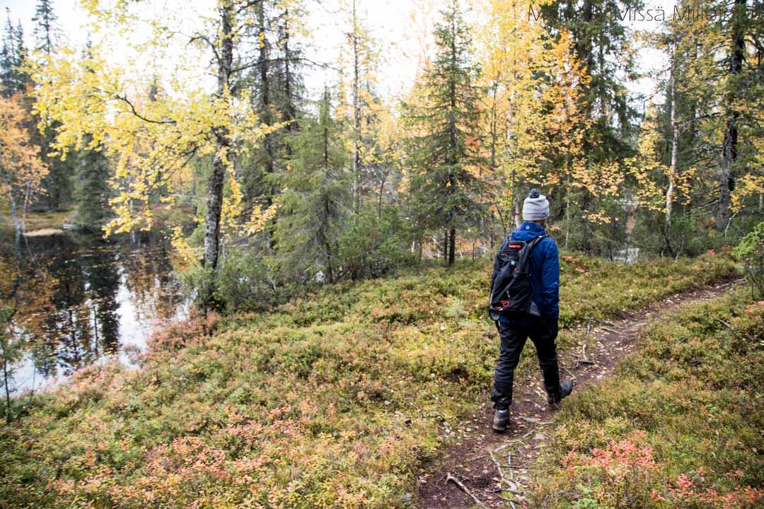 Pahakurun kierros Sallan kansallispuisto