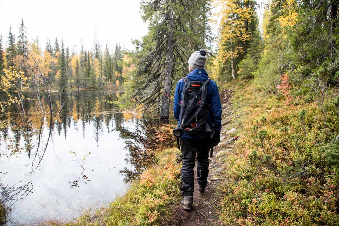 Pahakurun kierros Sallan kansallispuisto