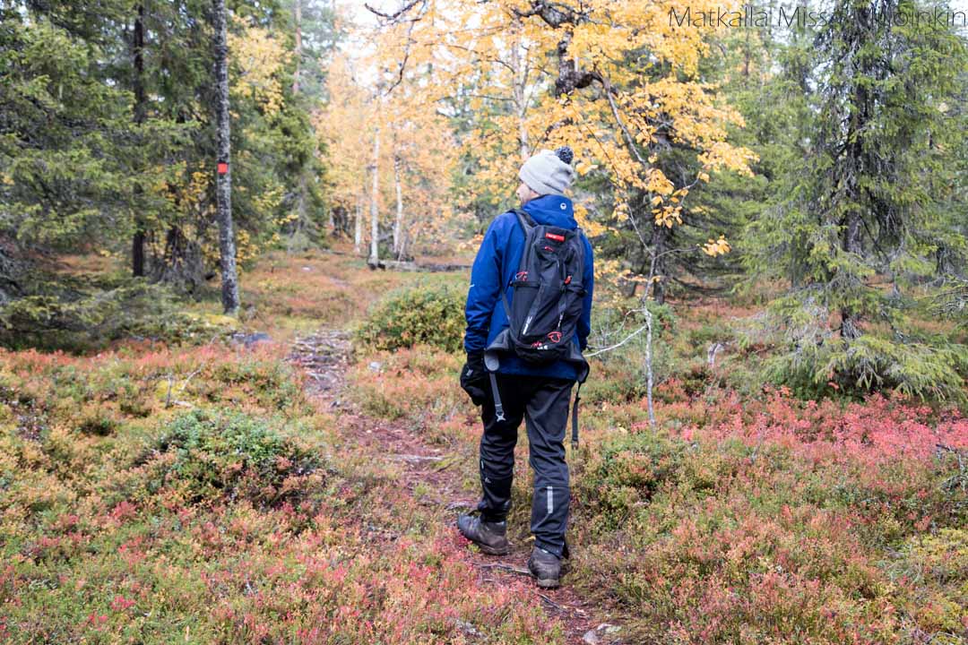 Pahakurun kierros syksyllä, Sallan kansallispuisto