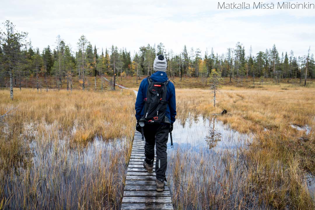 Pahakurun kierros Sallan kansallispuisto