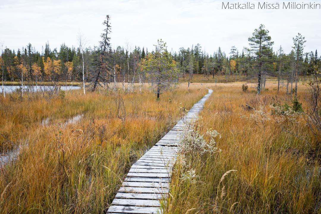 Pahakurun kierros Sallan kansallispuisto