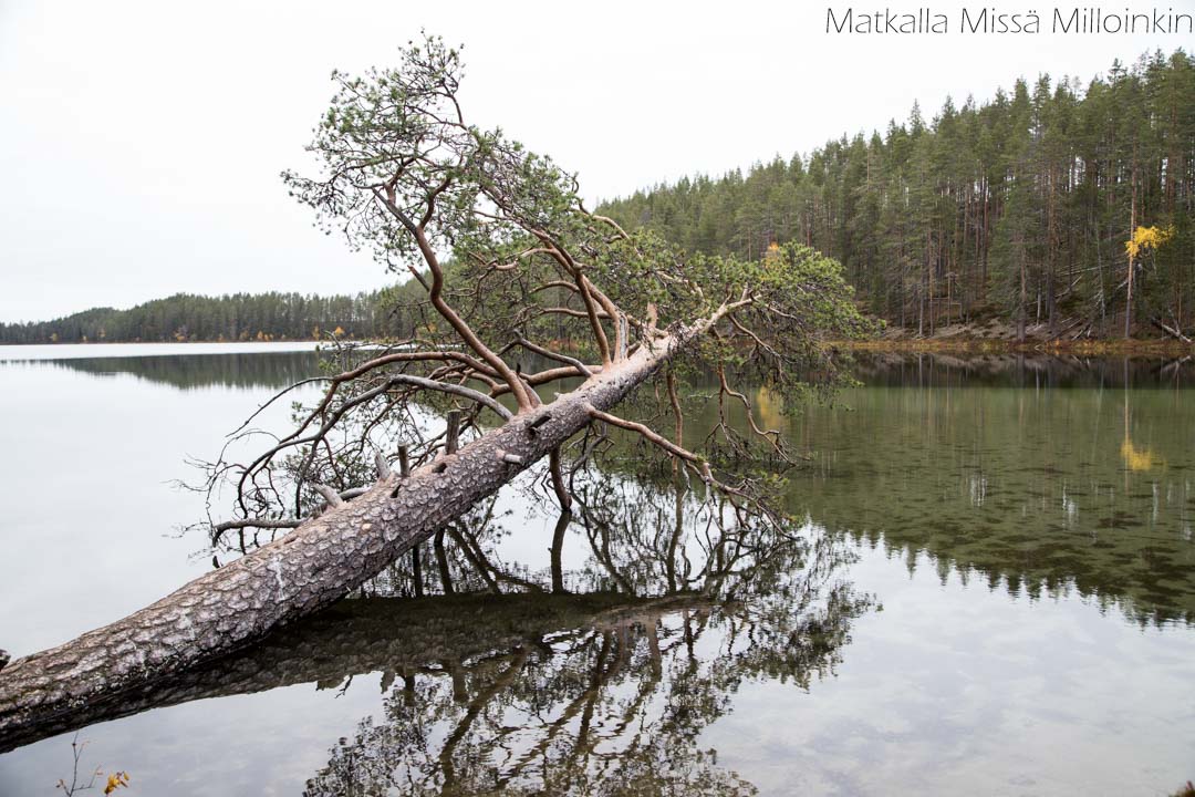 Soiperoisen järvet ovat kirkasvetisiä
