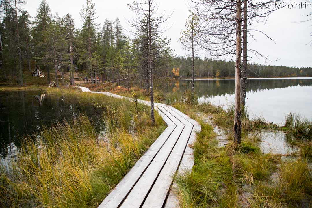 Soiperoisenpolku Iso-Syötteen retkeilyalue