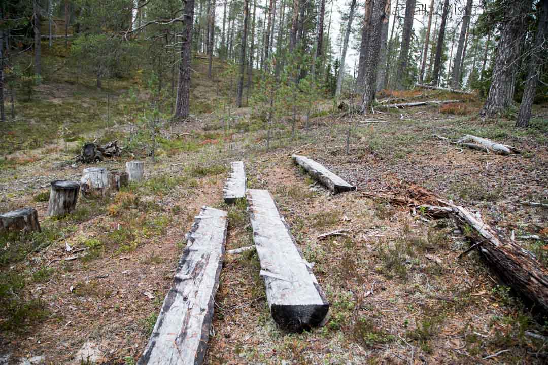 Soiperoisen metsäkirkko