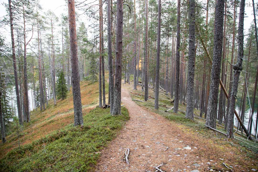 Soiperoisenpolku Iso-Syötteen retkeilyalue