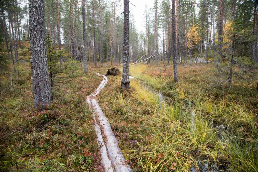 Soiperoinen Poromyhkyrän polku