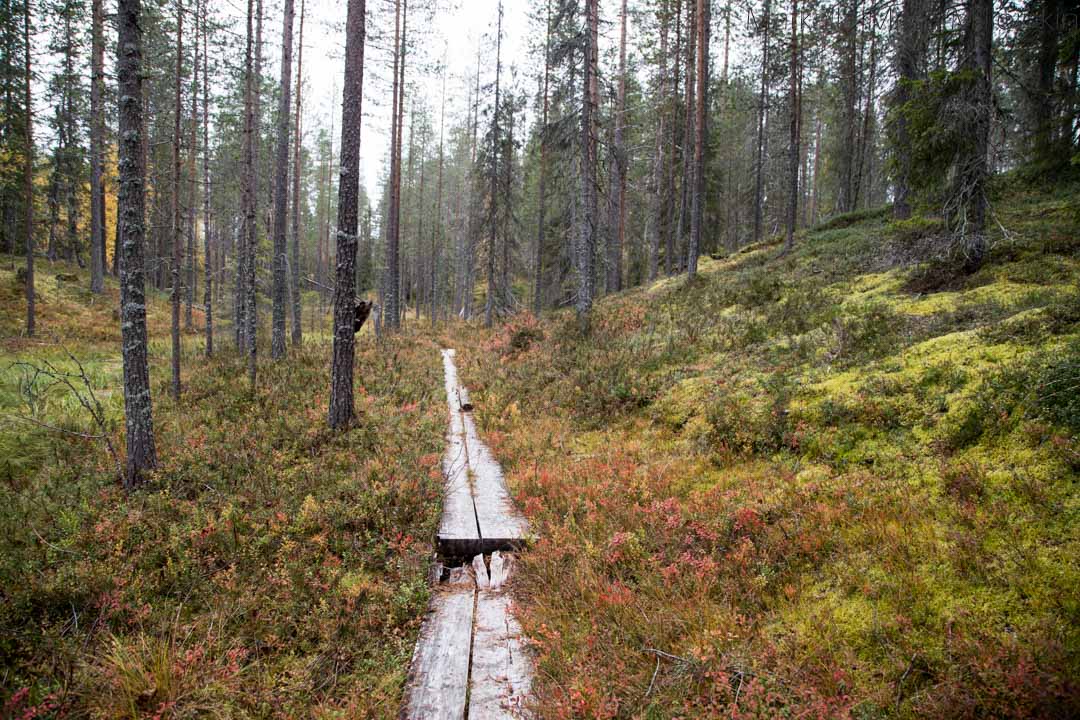 Soiperoinen Poromyhkyrän polku