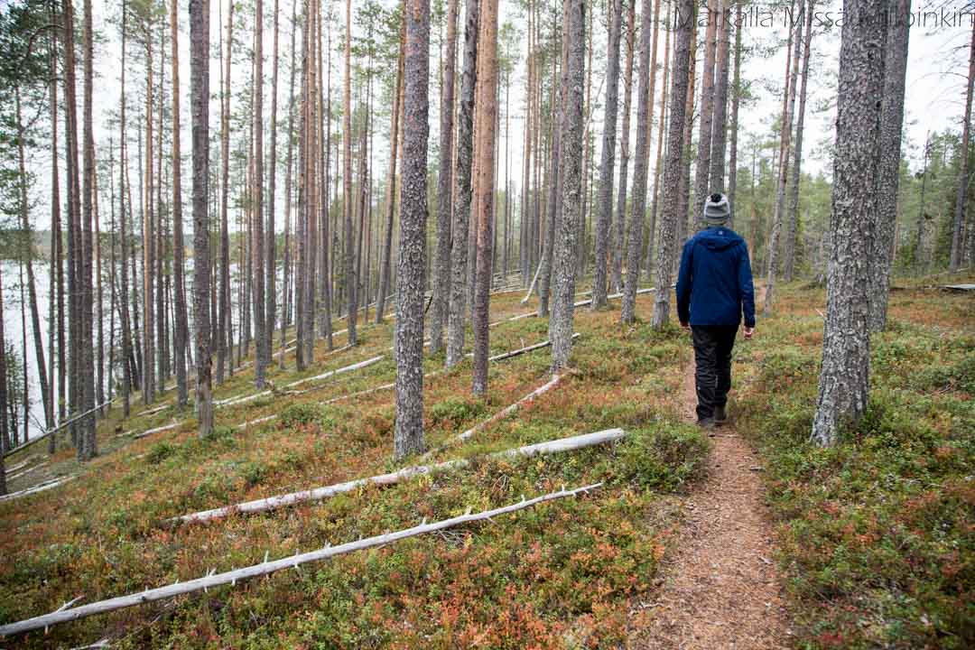 Soiperoinen Poromyhkyrän polku
