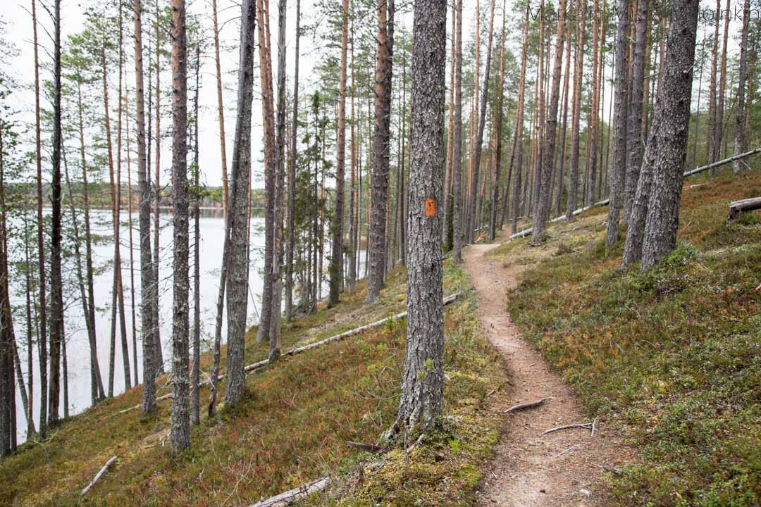 Soiperoinen Poromyhkyrän polku