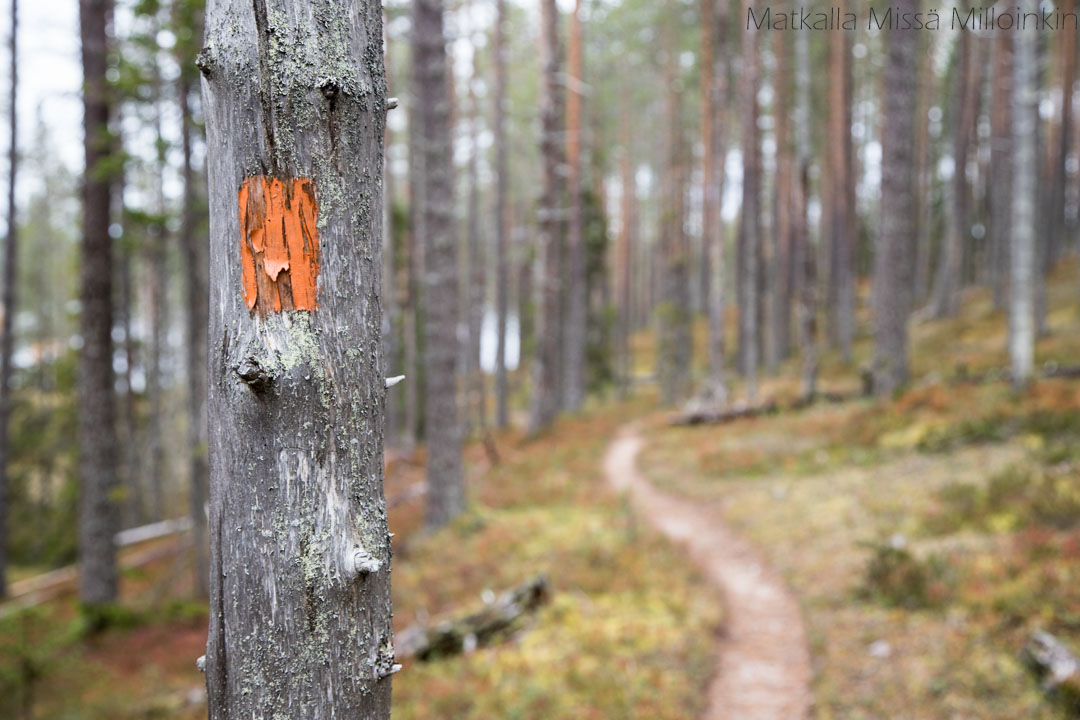 Soiperoinen reittimerkintä oranssilla maalilla