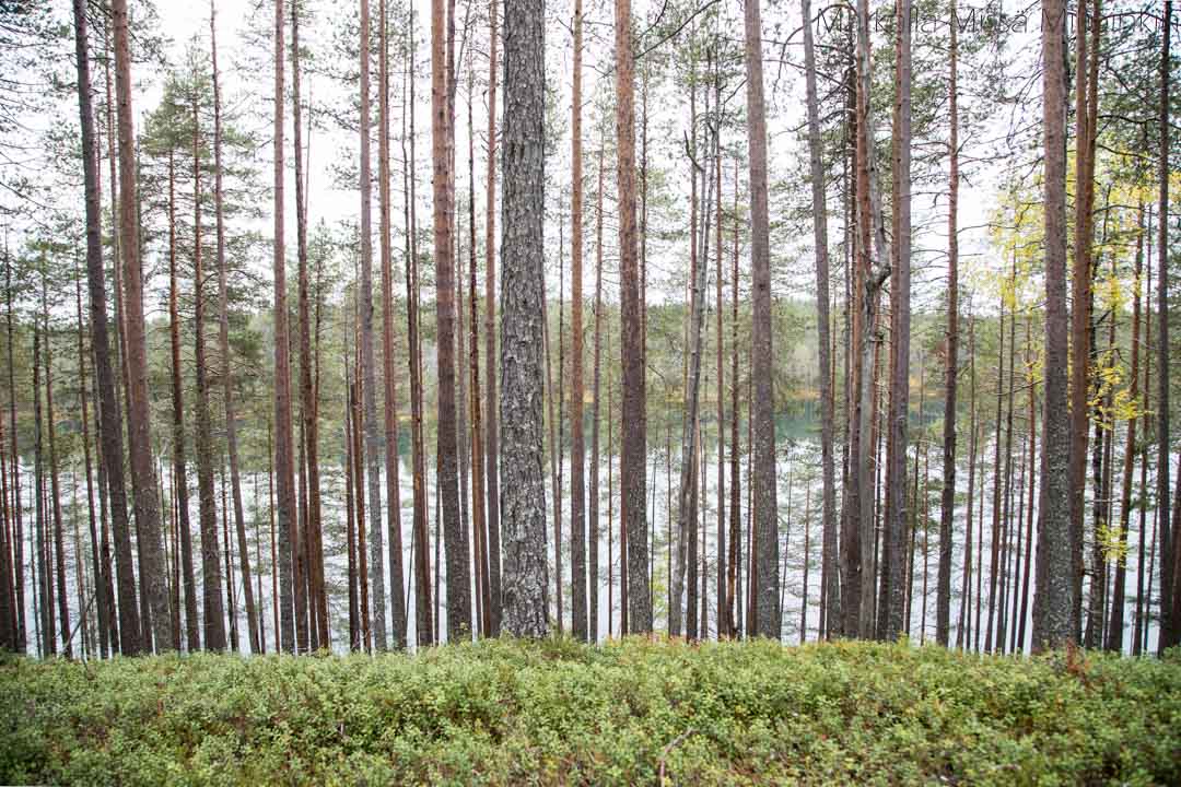 Soiperoinen, Iso-Syötteen retkeilyalue