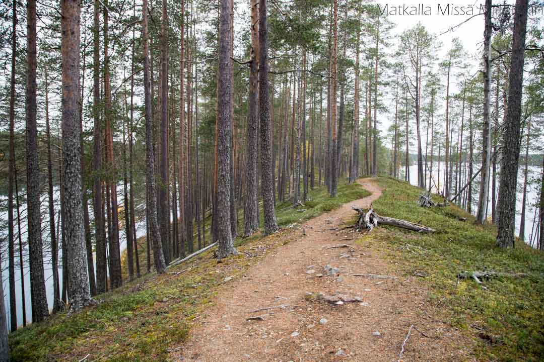 sy-te-soiperoisen-polku-matkalla-miss-milloinkin