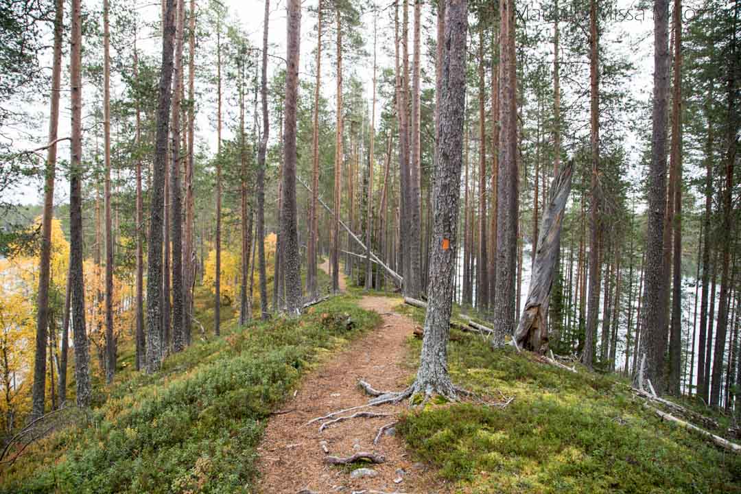 Soiperoinen, Iso-Syötteen retkeilyalue