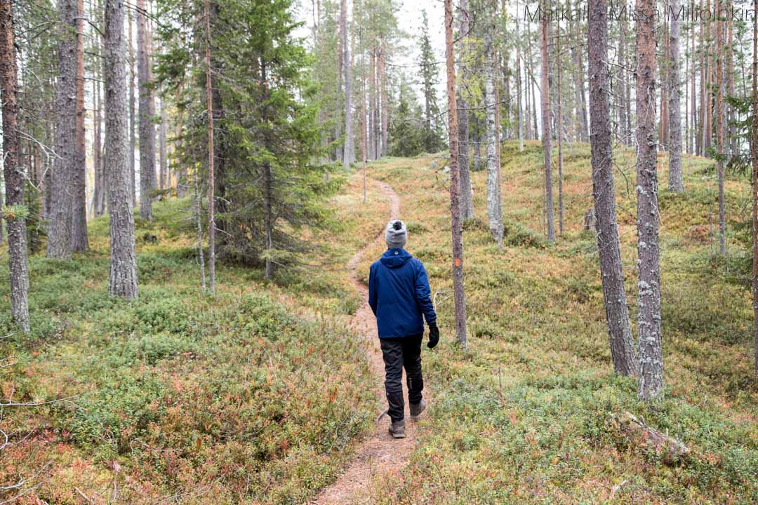 Soiperoisenpolku Iso-Syötteen retkeilyalue