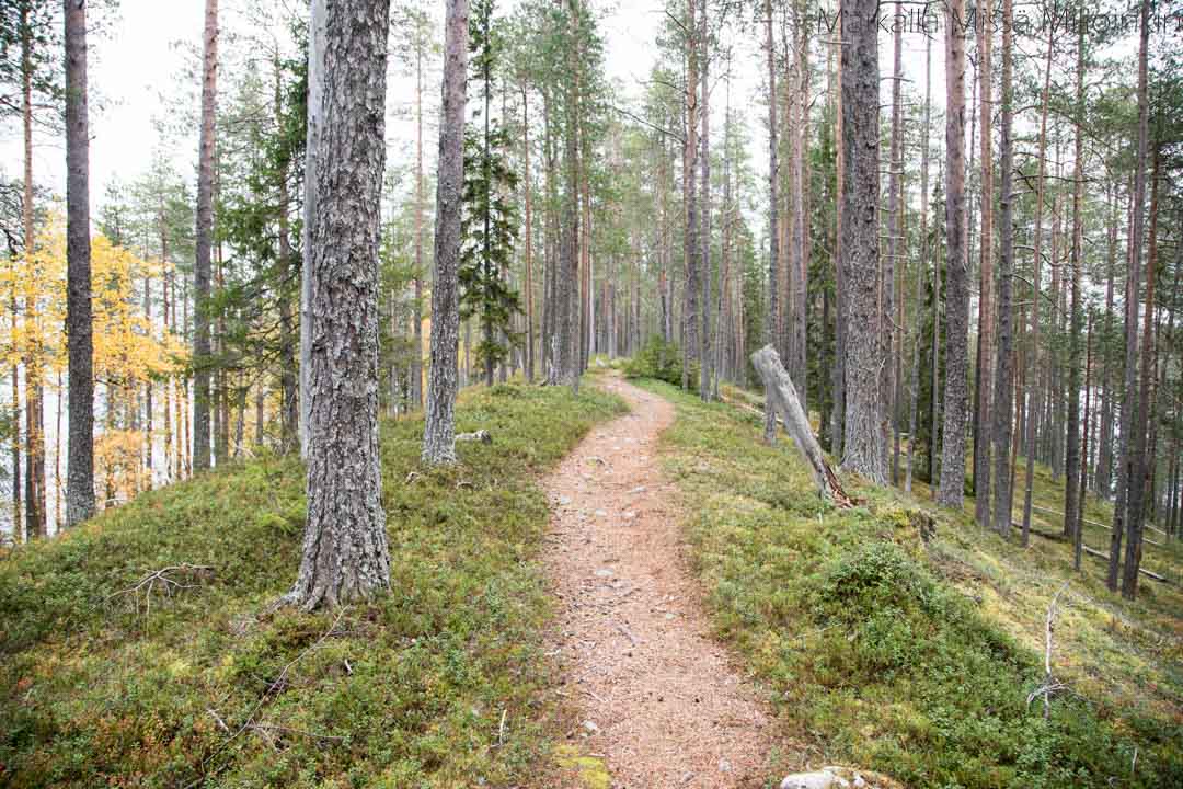 Soiperoisenpolku Iso-Syötteen retkeilyalue