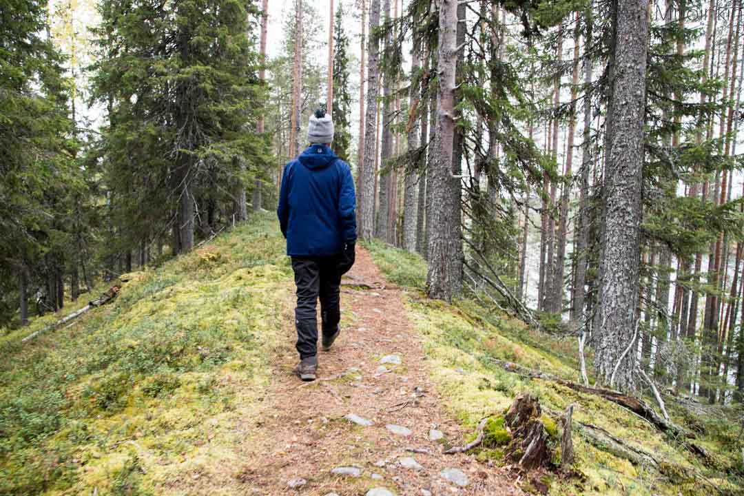 Soiperoisenpolku Iso-Syötteen retkeilyalue