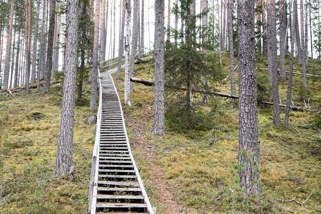 Soiperoisenpolku Iso-Syötteen retkeilyalue
