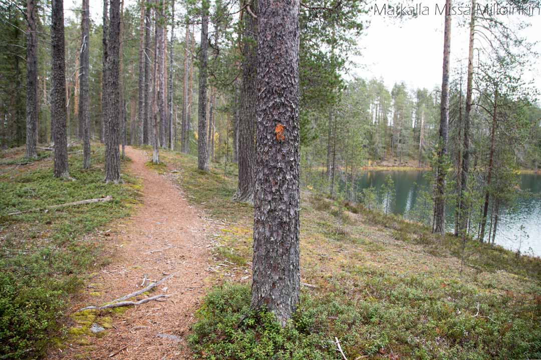 Soiperoisenpolku Iso-Syötteen retkeilyalue