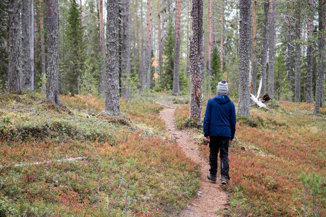 Soiperoisenpolku, Iso-Syötteen retkeilyalue