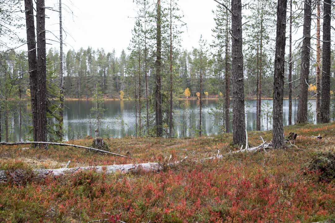 Soiperoinen, Iso-Syötteen retkeilyalue