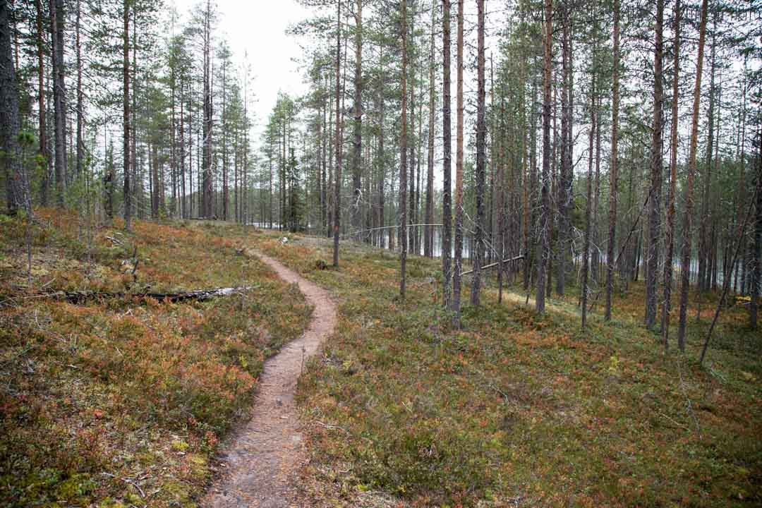 Soiperoisenpolku Iso-Syötteen retkeilyalue