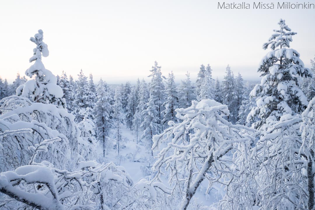 Iisakkipään luontopolku talvella, Urho Kekkosen kansallispuisto