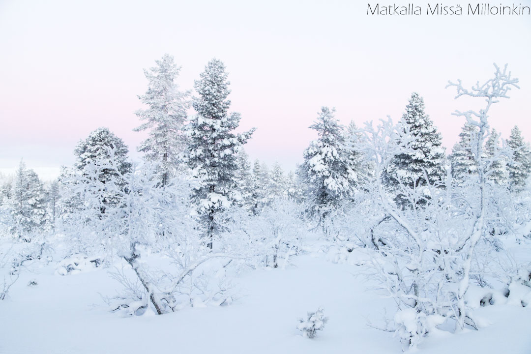 Kiirunapolku talvella kaamosaikana, Urho Kekkosen kansallispuisto