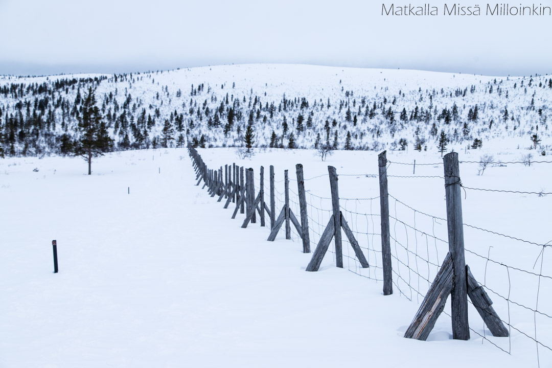 Kiirunapolku talvella, Urho Kekkosen kansallispuisto