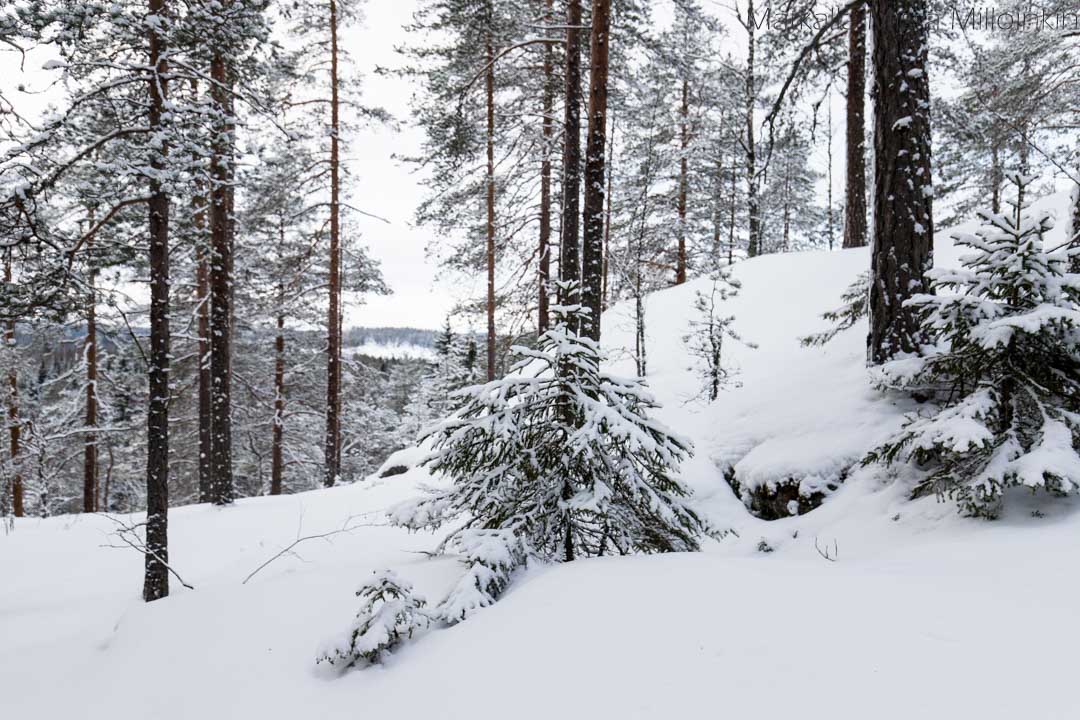 Korpjärven Linnavuori, Rautjärvi