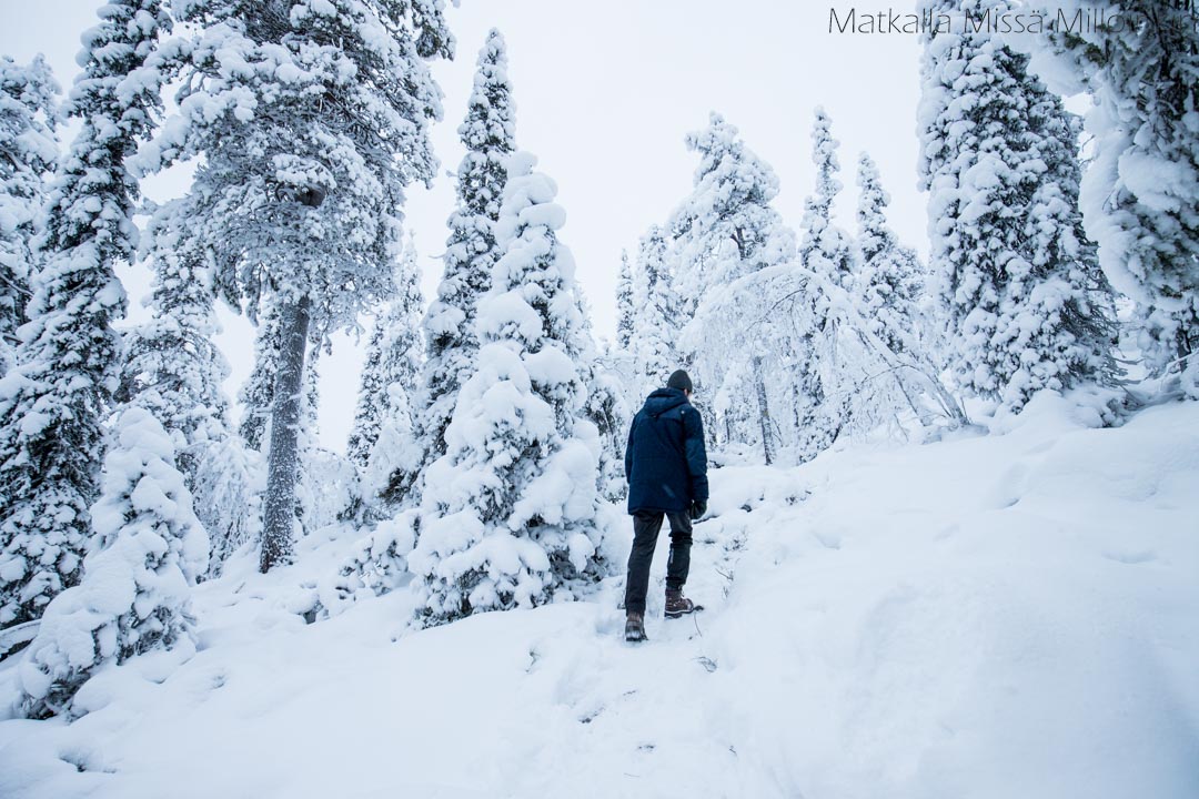 Teerivaaran kierros ja Syötteen kansallispuisto talvella