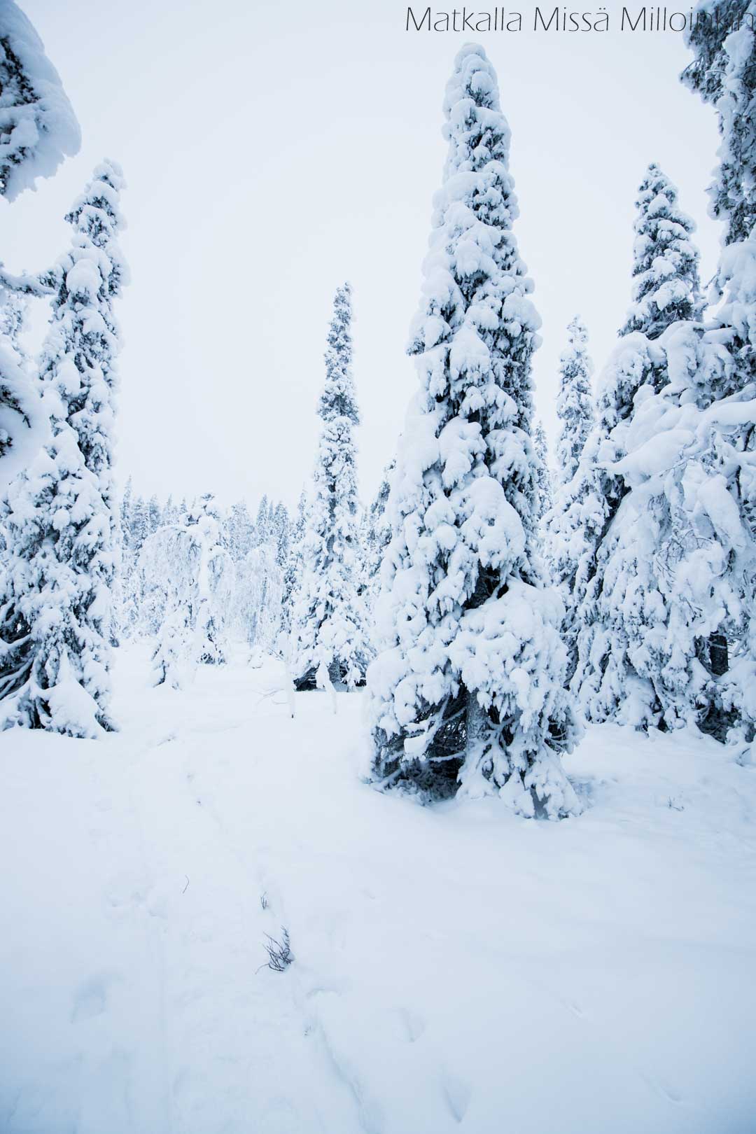 Teerivaaran kierros talvella, Syötteen kansallispuisto