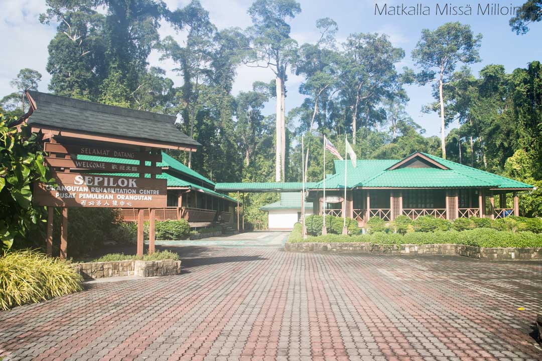Sepilok orankien kuntoutuskeskus, Borneo Malesia