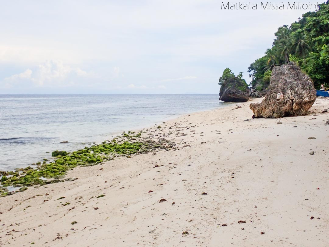 Monkey Beach, Siquijor Filippiinit